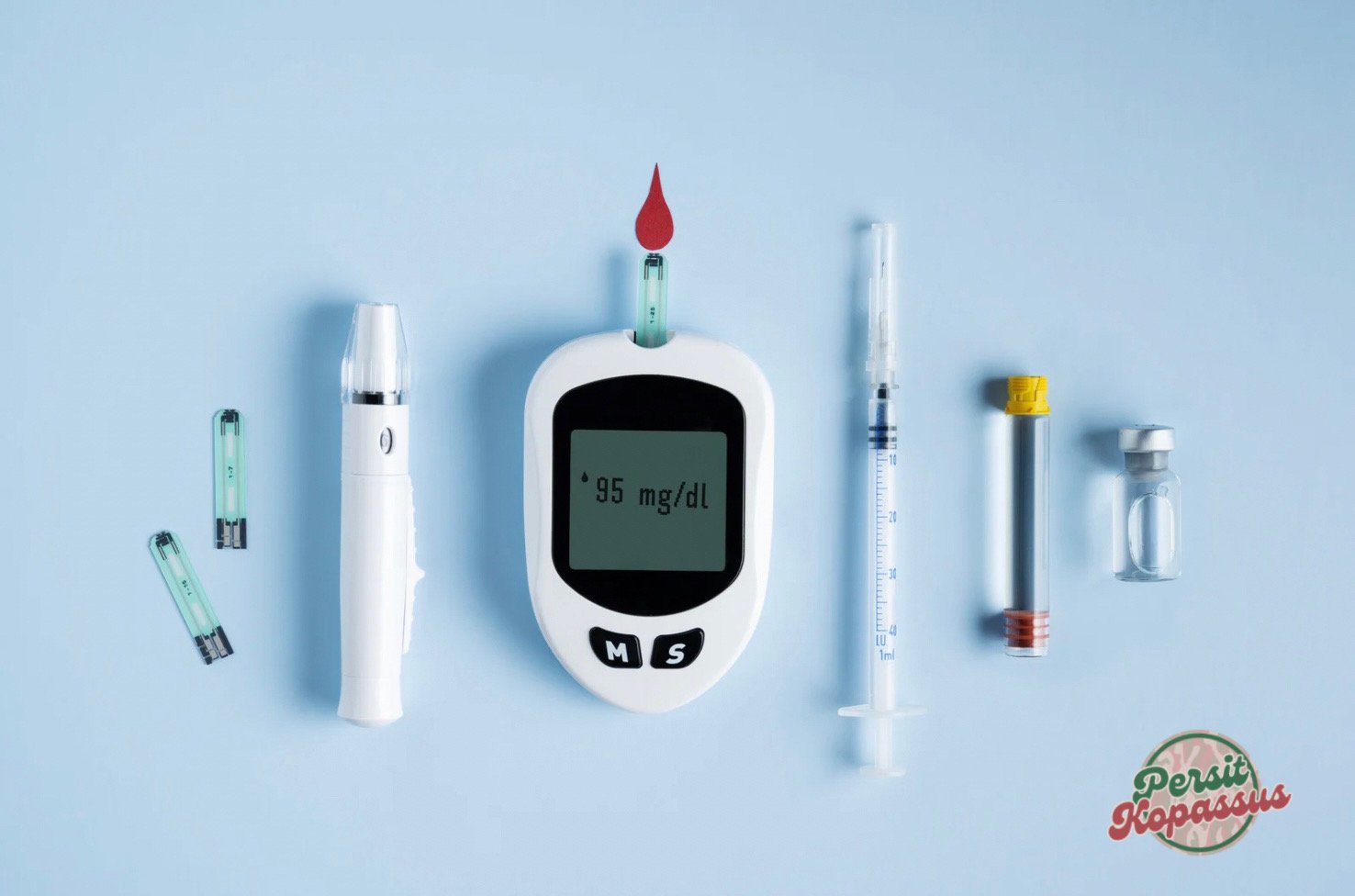 Pencegah Diabetes Melitus Dengan Pola Makan Sehat